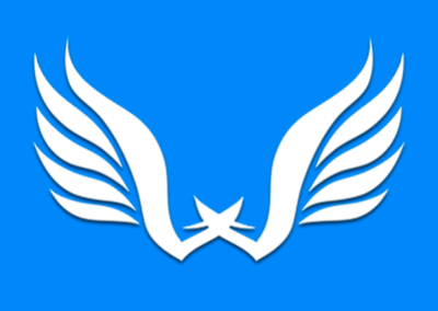 Wingpanel – Sistema de gestión y facturación